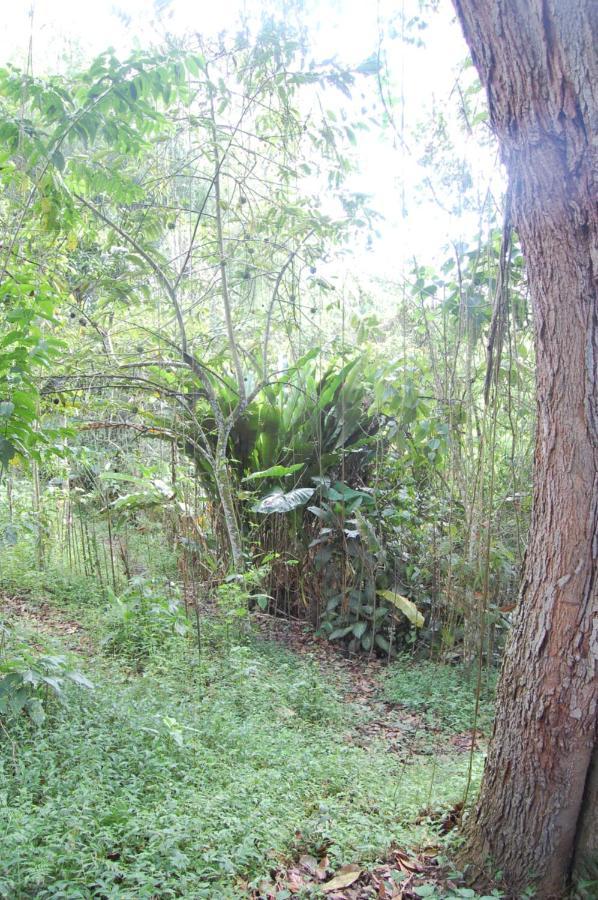 Ecohotel Alma Calarcá 外观 照片