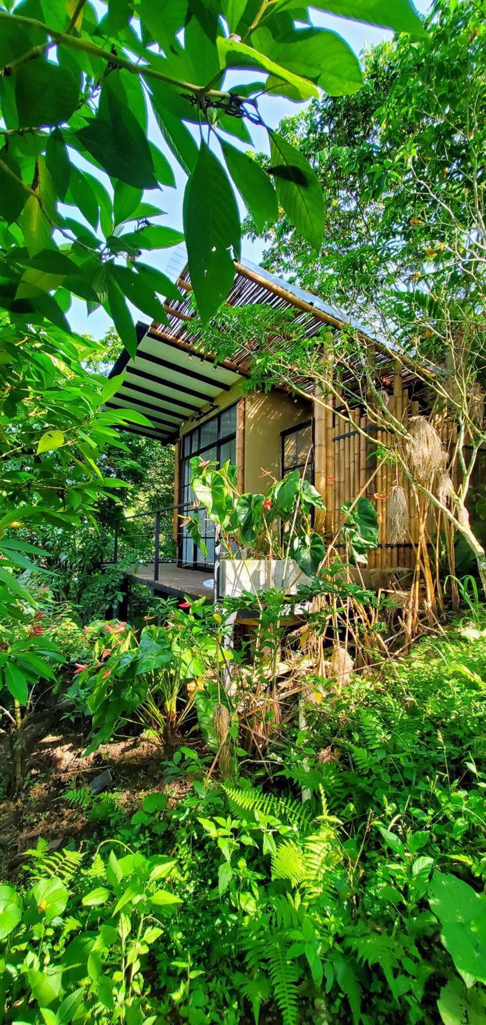 Ecohotel Alma Calarcá 外观 照片