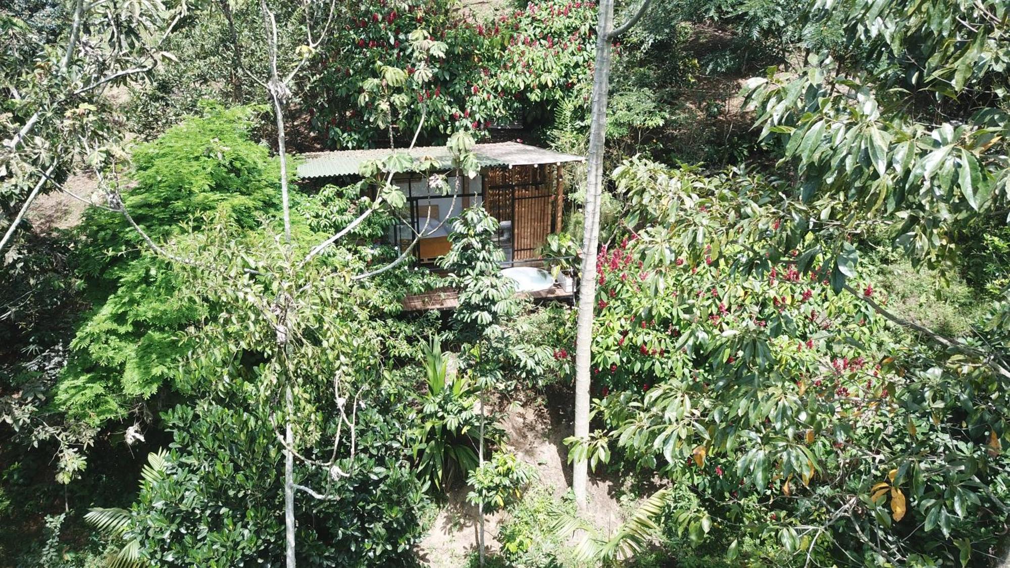 Ecohotel Alma Calarcá 外观 照片