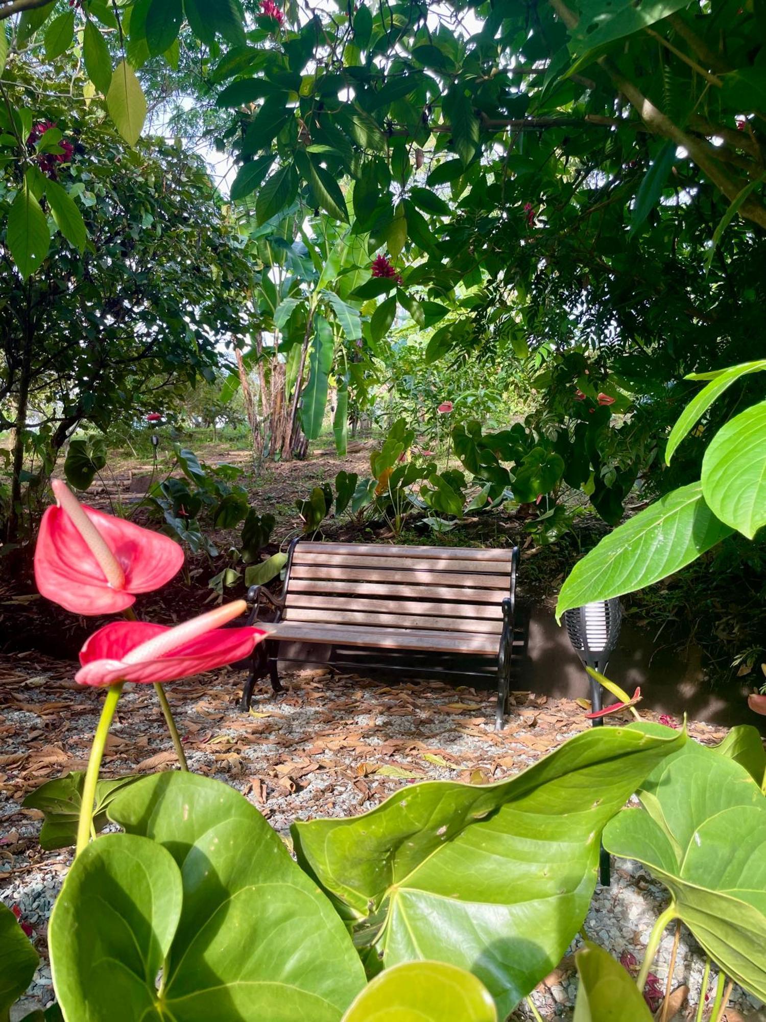 Ecohotel Alma Calarcá 外观 照片