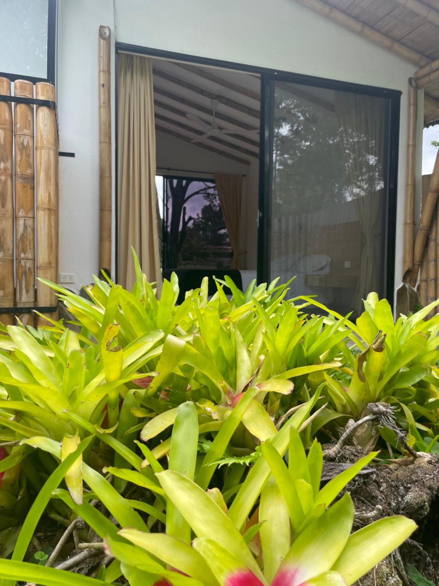 Ecohotel Alma Calarcá 外观 照片
